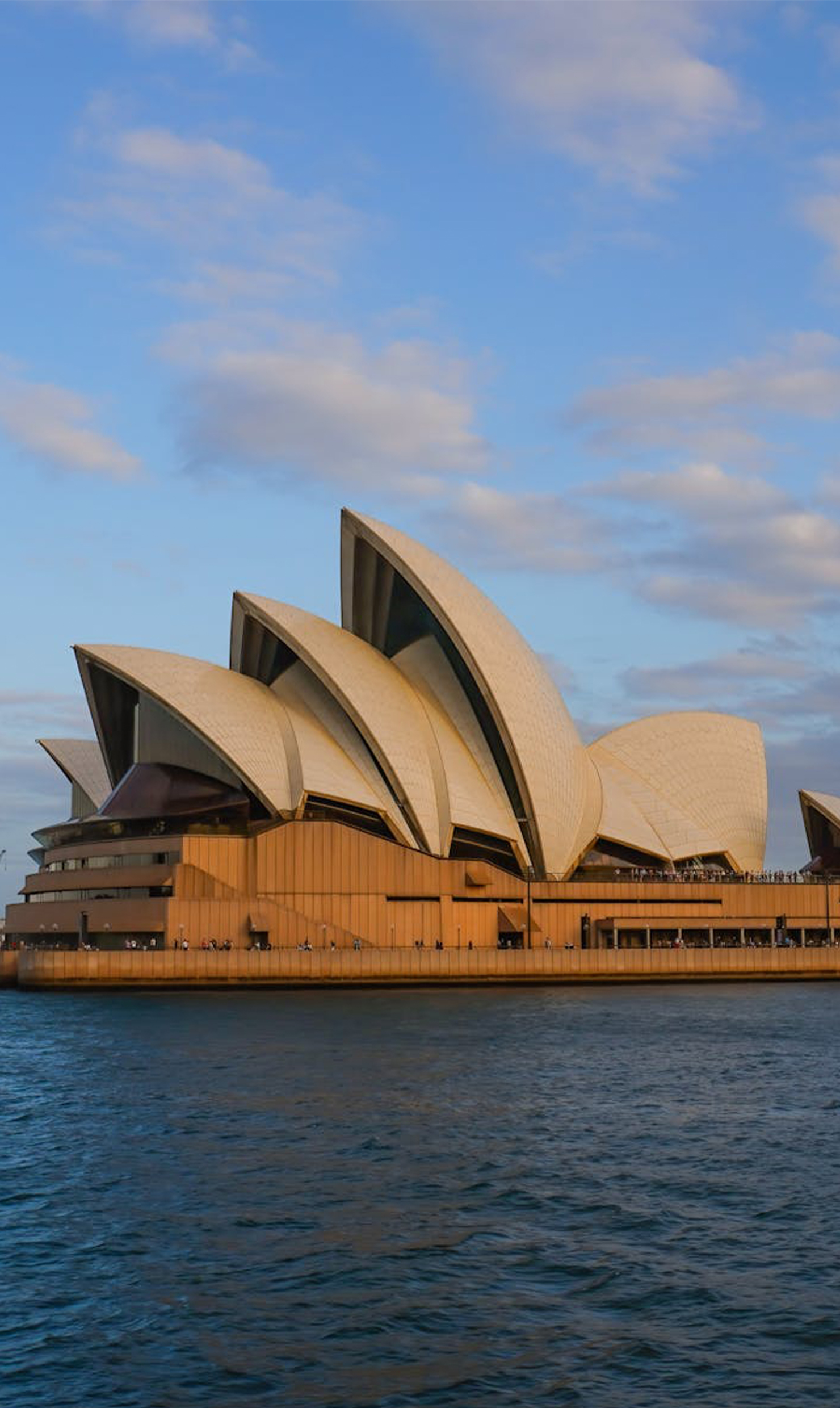 pexels-photo-30264732-30264732-1